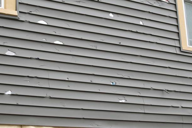 How To Choose The Right Materials for Your Siding Installation in 'Nederland, TX